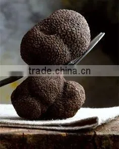 Truffle/Truffe thumbnail-5