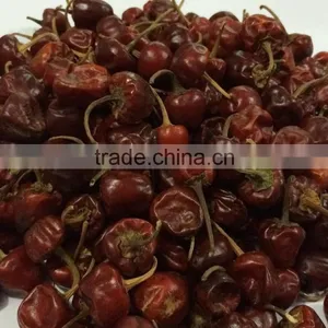 Round Red Chilli thumbnail-1