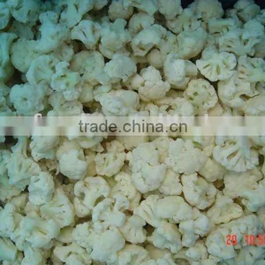 IQF Frozen Vegetable Supplier Competitive Price Cauliflower thumbnail-1