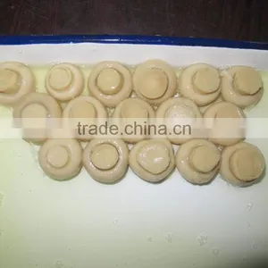CANNED CHAMPIGNON WHOLE thumbnail-1