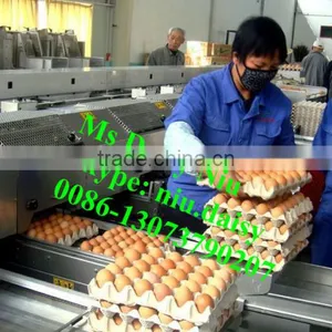 Automatic Egg Packing Machine/egg Tray Packaging Machine/egg Grading Machine for Packing thumbnail-3