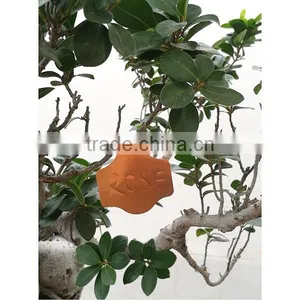 Garden Pot Copper Plant T Marker thumbnail-4