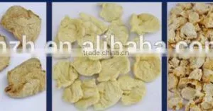 500kg/h Textured Soya Protein Vegetable Food Processing Machine thumbnail-5