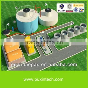 Hot Sale Chinese PUXIN Biogas Digester for Large Farms or Pastures thumbnail-1