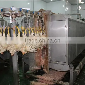 Equip for Poultry Slaughter of Chickens/slaughter Equipment /poultry Slaughter Line thumbnail-2