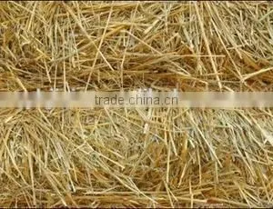 Middle-sized Grass Chopper Machine for Sale Made in China thumbnail-2