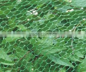 Plastic Poultry Net for Breeding,farm thumbnail-1