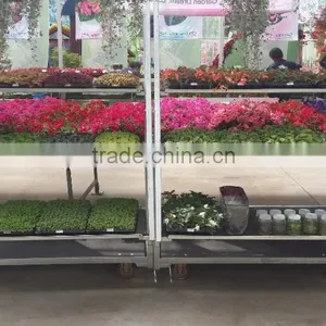 Qingdao Rolling Pallet Display Flower Trolley thumbnail-1