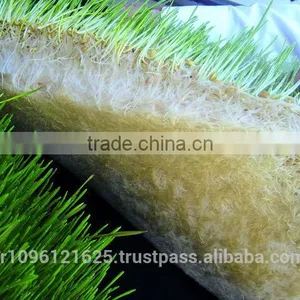 StarMax Barley Fodder / Fodder / Fodder System thumbnail-5