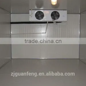 High Efficiency Ice Cream Storage Cold Room thumbnail-5