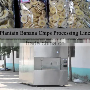 Low Temperature Microwave Vacuum Dryer for Banana Chips thumbnail-1