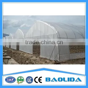 BLD Large Multi-span Plastic Film Greenhouse Commercial Use thumbnail-4