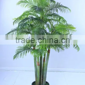SJ12001163 Top Selling Palm Tree/mini Palme Plant Craft thumbnail-5