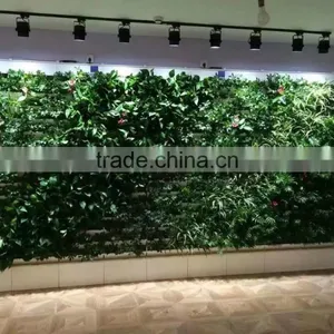 Green Wall System Vertical Hanging Garden Grass Wall With Planter and ECO Green Wall thumbnail-2