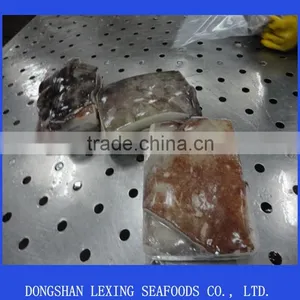 Frozen Giant Squid Wing thumbnail-1