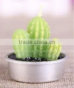 Cactus and Grape Plant Birthday Scented Candle thumbnail-2