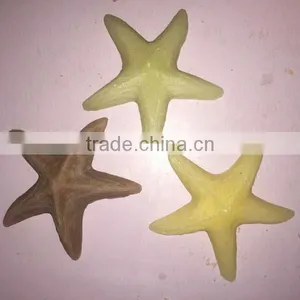 Starfish Shaped Candle thumbnail-1
