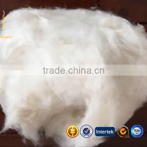 Mongolian Cahsmere Top Dehaired Cashmere Wool Fiber thumbnail-1