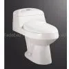 Toilet thumbnail-1