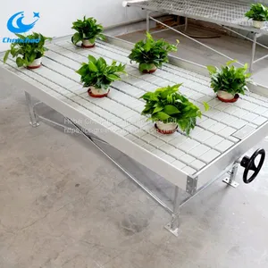 Rolling Benches for Greenhouse Growing Ebb and Flow Benches thumbnail-4