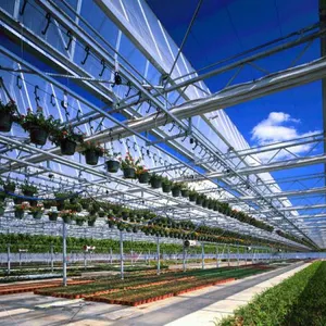 Venlo Type Multispan Glass Garden Greenhouse thumbnail-3