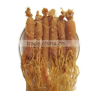 Red Ginseng Root / Panax Ginseng / Ninjin / Insam With Tail Tonic Body thumbnail-4