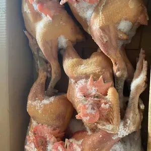 Black Feet Chicken Frozen Whole Raw Chicken China Wholesale Low Price thumbnail-2