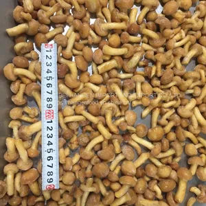 IQF Frozen Nameko Pilztaste Pilztaste thumbnail-4