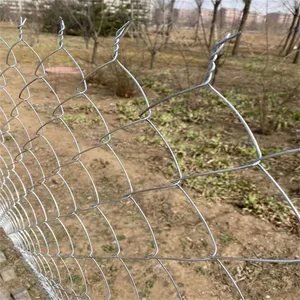 PVC Coated Chain Link Fence for Sports Fields and Playgrounds thumbnail-1
