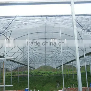 PEP Plastic Dome Greenhouse thumbnail-2