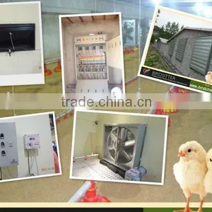 Full Automatic Environment Control System for Poultry Raising thumbnail-1