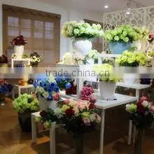 Tianjin Taibo International Trade Co., Ltd. company overview - view 2 thumbnail