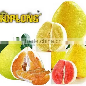 Color Pomelo (shaddock) thumbnail-1