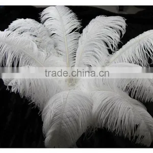 Professional Cleaning Supply Extendable Ostrich Feather Duster Office Workplace With White Color thumbnail-1