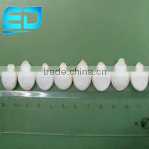 Japanese Pumpkin Seeds Snow White Pumpkin Seeds for Sale thumbnail-1