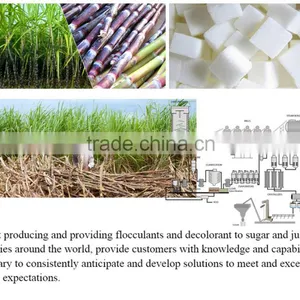 Polyelectrolyte Magnafloc Flocculant Decolorant for Sugar thumbnail-2