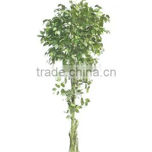New Artificial Ficus Tree thumbnail-1