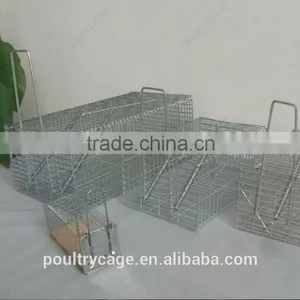 Hot Sale Eco-Friendly Feature Mice Catch Type Trap Cages thumbnail-4