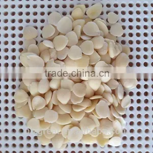 Blanched Bulk Apricot Kernels for Sales thumbnail-1