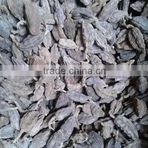 Spices and Herbs, New Crop Black Cardamom With Best Price thumbnail-4