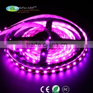 Hot Sell Top Quality 2016 5050 Addressable Rgb Led Strip Programmable Led Strip Light With Remote Controller thumbnail-5