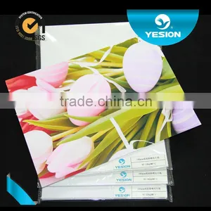 Chinese Supplier OEM Back Printing Inkjet Clear and White Water Transfer Paper/water Decal Transfer Paper thumbnail-1