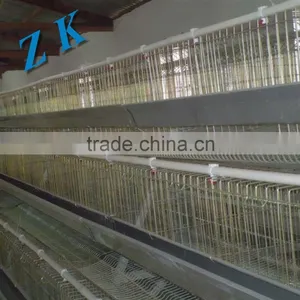 Durable Qualified Poultry Farm Layer Chicken Cages/coops thumbnail-5