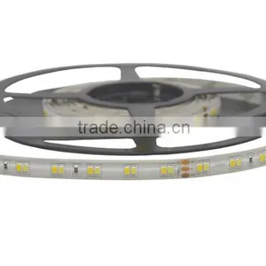 3014 Color Changable Warm White Plus Cold White LED Ultra Thin Led Strip thumbnail-1