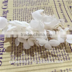 Preserved Flower Hydrangea Flower thumbnail-3