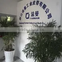 Zhejiang Farman Industrial Belt Co., Ltd. company overview - view 1 thumbnail