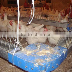 Hot-sale Breeder Chicken Chain Feeding System thumbnail-1