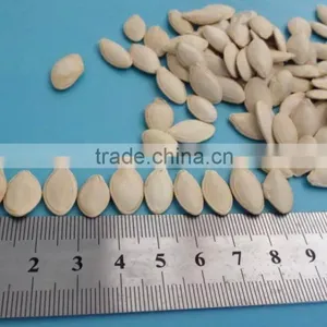 Good Price/sunshine Pumpkin Seeds thumbnail-1