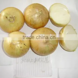 Chinese Red Onion Yellow Onion From Shandong thumbnail-3