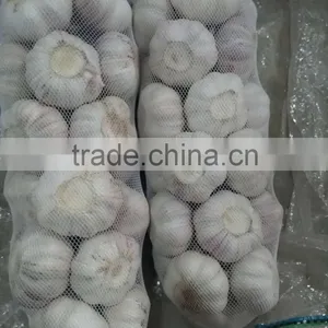 New Crop Garlic 2016 thumbnail-3